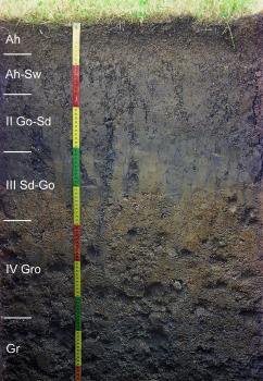 Auenpseudogley-Auengley aus geringmächtigem Auenlehm über Hochflutlehm auf Donauschotter Das Foto zeigt ein Bodenprofil unter Grünland. Es handelt sich um ein Musterprofil des LGRB. Das sechs Horizonte umfassende, sehr dunkle Profil ist etwa 90 cm tief.