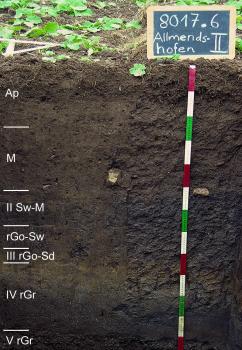 Auenpseudogley-Brauner Auenboden mit Vergleyung im nahen Untergrund aus mehrschichtigem Auenlehm über Auensand auf Donauschotter Das Foto zeigt ein Bodenprofil unter Acker. Es handelt sich um ein Musterprofil des LGRB. Das sieben Horizonte umfassende Profil ist 1,25 m tief.