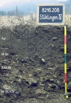 Mittel tief entwickelte Parabraunerde aus altholozänem Auenlehm über Flussbettablagerungen Das Foto zeigt ein Bodenprofil unter Acker. Es handelt sich um ein Musterprofil des LGRB. Das vier Horizonte umfassende Profil ist etwa 80 cm tief.