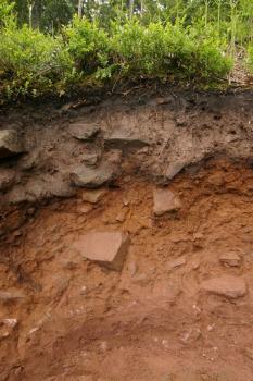 Podsol aus Hangschutt südöstlich von Klosterreichenbach Blick auf braunes bis rötliches Boden- und Gesteinsmaterial an einem Waldhang.