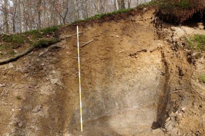 Fließerdefolge auf Tonstein des Mitteljuras im Vorland der Mittleren Alb bei Gomaringen Zu sehen ist hier ein Steilabbruch an einem nach links geneigten Waldhang. Das offen liegende Gesteins- und Bodenmaterial bildet mittig eine fast senkrechte, 1,60 Meter hohe Wand. Die Bodenfarbe wechselt von hellbraun oben zu Grautönen unten.