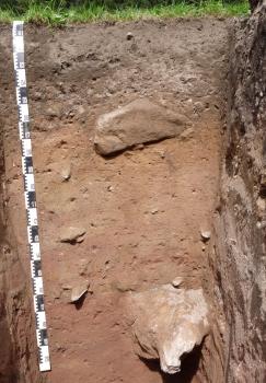 Kolluvium über Braunerde am Hangfuß im obersten Bregtal bei Furtwangen Leicht abwärts gerichteter Blick auf ein rötlich braunes, am oberen Rand graues Bodenprofil. Aus der Profilwand ragen mehrere Gesteinsstücke heraus. Rechts ist eine abknickende Seitenwand angeschnitten, die eine streifige Färbung hat.