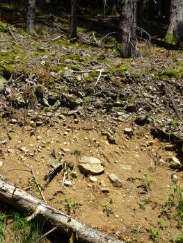 Skeletthumusboden über Braunerde an einem Steilhang im Höllental südlich von Breitnau Am unteren Rand eines nach rechts abfallenden Waldhanges ist grünlich braunes Bodenmaterial sichtbar. Der Boden ist teils mit feinkörnigem Gestein durchsetzt, teils liegt das Gestein auch auf. Dazwischen wachsen Pflanzen und Moos.