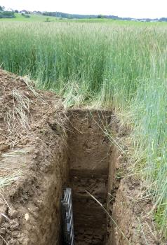 Über 3 m mächtiges Kolluvium am tiefsten, zentralen Punkt einer großen Karstsenke südöstlich von Königsheim (Lkr. Tuttlingen) Das Foto zeigt ein sehr tief aufgegrabenes Bodenprofil inmitten eines grünen Getreidefeldes.