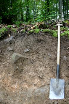 Humusbraunerde aus Fließerde mit Foidit-Schutt über zersetztem miozänem Vulkantuff (v8a) Im Vordergrund ist ein geröllhaltiges Bodenprofil mit einer Schaufel rechts zu sehen. Im HIntergrund befindet sich Wald.