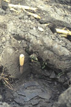 Pararendzina auf Gesteinszersatz der Posidonienschiefer-Formation Nahaufnahme einer aufgeschnittenen Ackerscholle. In der Vertiefung liegen Schieferbruchstücke. Ein Spachtel dient als Größenvergleich.