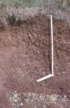 Das Foto zeigt ein Bodenprofil unter Grünland. Das rötlich gefärbte Bodenprofil ist etwa 1,20 m tief.