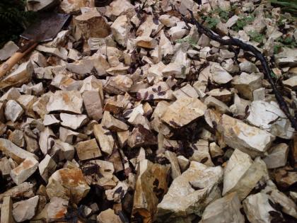 Oberfläche einer jungen Schutthalde an der steilen Abrisskante eines Rutschungshangs südlich von Wehingen Nahaufnahme von gelblich grauem Gesteinsschutt. Ein Spatenkopf dient dabei als Größenvergleich.