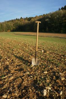 Kiesige Ackeroberfläche am Rand einer Schotterterrasse im Remstal zwischen Böbingen und Schwäbisch Gmünd-Hussenhofen Blick auf eine sehr steinige Ackerfläche. In einer der Bodenfurchen steckt ein Spaten. Im Hintergrund ist eine bewaldete Anhöhe erkennbar.