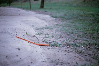 Junges Auensediment bei Oppenweiler nach dem Hochwasser vom 21.03.2002 Nahaufnahme einer Wiese mit angeschwemmtem, stufig nach links ansteigendem hellgrauem Bodenmaterial. Ein angelegter Zollstock zeigt die Höhe der Stufenbildung an.