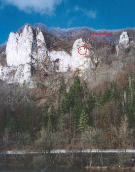 Übersichtsfoto der Ausbruchstelle des Felssturzmaterials auf Höhe des Eichfelsens Blick auf eine hohe Felswand, welche unten und obendrauf mit Bäumen bewachsen ist. An einem der Felssporne ist mit einem roten Kreis die Ausbruchstelle eines Felssturzes eingezeichnet.