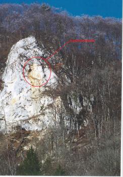 Detailfoto der Ausbruchstelle des Felssturzmaterials auf Höhe des Eichfelsens In der Bildmitte befindet sich ein großer, heller Felsen, welcher von kahlen Laubbäumen umgeben ist. Mit einem roten Kreis ist die Ausbruchstelle eines Felssturzereignisses gekennzeichnet.