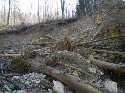 Kleine Böschungsrutschung sowie Verlegung durch Totholz und Geröll im Bereich des Bachbettes Das Bild zeigt ein Bachbett, in welches Geröll und Totholz gerutscht ist. Der Bach befindet sich im Wald.