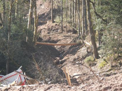 Blick über Murgangmassen auf die Hangklinge Das Bild zeigt einen bewaldeten Hang, in den sich mittig eine Rinne aus talabwärts geflossenen Schlammmassen eingeschnitten hat. Einige Baumstämme liegen am Boden. Am unteren Bildrand befinden sich noch einige Trümmerteile.