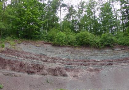 Ehemalige Mergelgrube im Stromberg Das Bild zeigt eine halbrund geformte, unterschiedlich gebankte Gesteinswand. Von unten nach oben wechseln sich dabei graue und rötlich graue Schichten ab. Die Kuppe der Wand ist bewaldet.