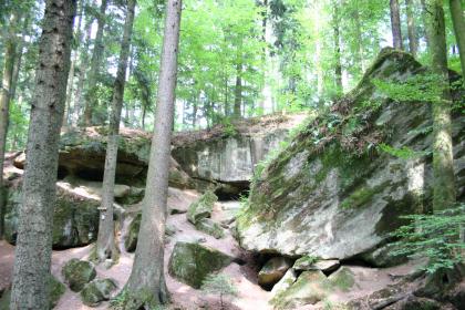 Die Hägelesklinge bei Kaisersbach-Cronhütte (Rems-Murr-Kreis) Das Bild zeigt mehrere aufeinander getürmte, rötlich graue und mit Moos bewachsene Felsblöcke inmitten eines aus hohen, schlanken Bäumen bestehenden Waldes. Links und mittig sind auch Spalten und Höhlen erkennbar.