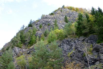 Der Steinbruch am Gipfel des Hohenstoffeln Leicht mit Gebüsch bewachsener Steinbruch. Das Gestein ist dunkel bis schwarz und bildet Säulen aus.