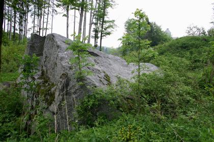 Findling in der Nähe der Waldburg (Lkr. Ravensburg) Blick auf einen großen grauen Steinblock, der inmitten eines dicht bewachsenen Hanges liegt. Im Hintergrund rechts ist hinter Bäumen ein Gebäude erkennbar.