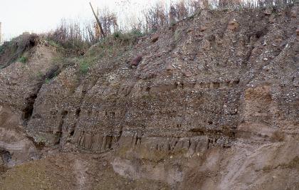 Kiesgrube am Grenzhof – ehemalige Abbauwand Das Bild zeigt eine graubraune, unregelmäßig geformte Abbauwand einer Kiesgrube. Im unteren Drittel haben kleine Spalten und Nischen zahnähnliche Formen gebildet. Die zurückgeneigte Kuppe der Wand ist mit Hangschutt bedeckt und bewachsen.