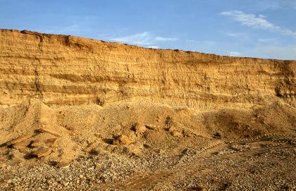 Kiesgrube am Grenzhof Blick auf die glatt abgeschnittene, gelblich braune Wand einer Kiesgrube mit vorgelagerten Schutt- und Kieshaufen.
