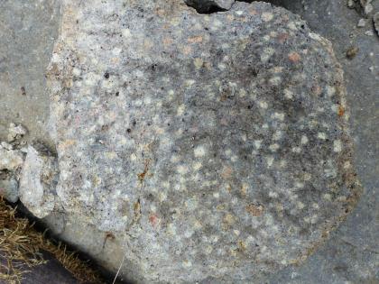 Aufgelassener Steinbruch am Michelsberg am Südosthang des Katzenbuckels: Sanidin-Nephelinit