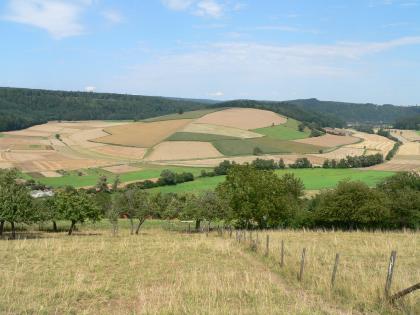 Mittelberg westlich von Guttenbach Blick über eingezäunte Streuobstwiesen auf eine tiefer liegende, rundliche Erhebung. Diese Erhebung ist zum Vordergrund hin in zahlreiche Felder unterteilt, zum Hintergrund hin jedoch bewaldet.
