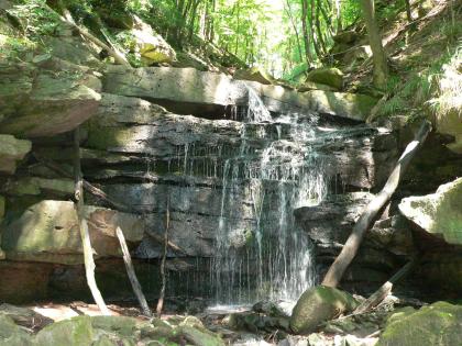 Kleinere Wasserfallstufe in der Margaretenschlucht südlich von Neckargerach Aufwärts gerichteter Blick in ein enges bewaldetes Felsental mit steilen Hängen und einer kleineren Wasserfallstufe im Vordergrund.