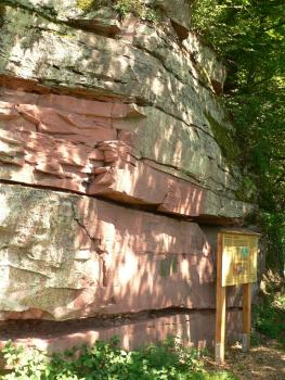 Felswand im Buntsandstein der Margaretenschlucht südlich von Neckargerach Blick auf eine von Bäumen beschattete Gesteinswand. Das Gestein ist bankig aufgeschlossen, mit unten rötlichen und darüber grünlichen Farbtönen. Rechts steht eine Hinweistafel.