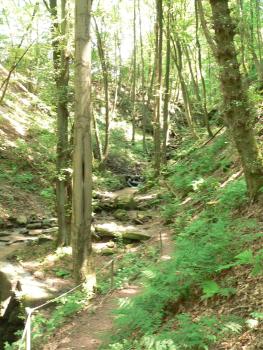 Seitlicher Blick in eine bewaldete Felsenschlucht mit steilen Hängen und einem schmalen Wasserlauf in der Mitte. Rechts des Baches verläuft ein Fußweg.