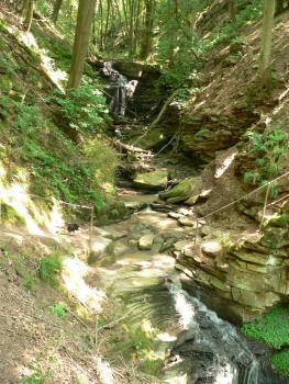 Margaretenschlucht südlich von Neckargerach Blick in ein enges, bewaldetes Felsental mit steilen Hängen und einem schmalen Wasserlauf. Im Vordergrund führen Felsstufen als Pfad zu einem Wasserfall rechts unten.