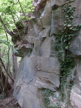 Aufschluss im Oberen Buntsandstein nahe der Kalktuffbildung nordwestlich von Mosbach-Diedesheim Seitlicher Blick auf eine violettgraue Gesteinswand, die rechts aufsteigt. Auf der linken Seite ragt eine Art Nase hervor, aus der dünne Bäume herauswachsen.