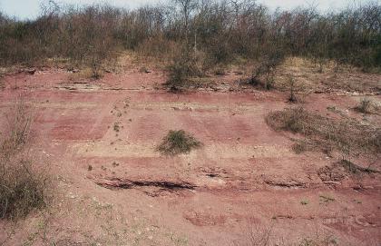 Böschungsaufschluss hinter dem Friedhof/Bauhof am westlichen Ortsausgang von Ingelfingen Das Bild zeigt eine am oberen Ende stark bewachsene Böschung, deren Neigung auf den Betrachter zuläuft. Der freiliegende Teil des Hanges ist rötlich braun gefärbt, mit helleren Streifen dazwischen.