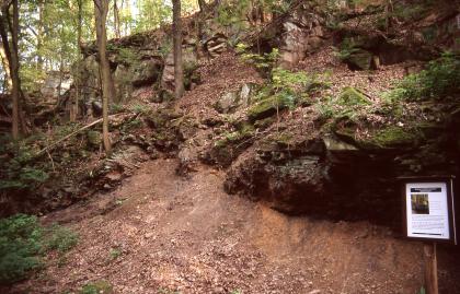 Aufgelassener Schilfsandsteinbruch am Jägerhaus bei Heilbronn Blick auf eine im Wald liegende, rötlich braune, nach rechts ansteigende Böschung, die im oberen Teil mit Felsen durchsetzt ist. Rechts unten steht eine Schautafel.