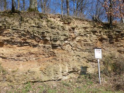 Mergelgrube am Keuperweg bei Heilbronn Blick auf eine nach links zunehmende, rötlich graue Gesteinswand, deren oberer Rand von Bäumen bestanden ist. Unten rechts ist ein Pfosten mit Schautafel angebracht.