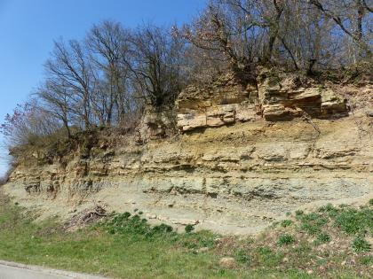 Wegböschung am südlichen Sporn des Wartberges östlich von Heilbronn Blick auf eine nach rechts anwachsende, langgezogene felsige Böschung. Der untere Teil des Gesteins ist waagrecht gebankt und hellgrau bis grünlich. Oben ragen die Felsen etwas hervor und sind zudem mit Bäumen bewachsen.