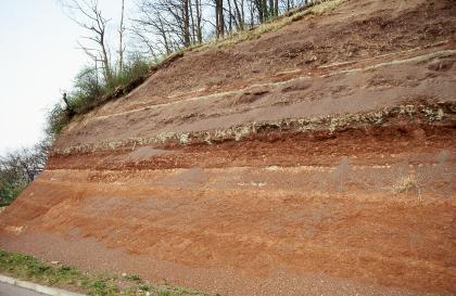 Weinbergsaufschluss 1500 m südöstlich von Unterheimbach am Waldrand Blick auf einen stufigen, nach rechts ansteigenden Hang ohne Bewuchs. Das offenliegende Boden- und Gesteinsmaterial ist rötlich braun mit schmalen weißlichen Streifen im oberen Teil. Auf der Kuppe und am linken Rand des Hanges stehen Bäume und Sträucher.