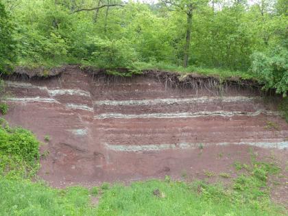 Aufschluss am Teufelsberg nordöstlich von Hohenhaslach Blick auf einen Gesteinsaufschluss an einem Waldhang. Die hohe, rötlich graue Gesteinswand fällt nach rechts hin etwas ab. Oben und unterhalb der Bildmitte verlaufen mehrere waagrechte weißliche Streifen.