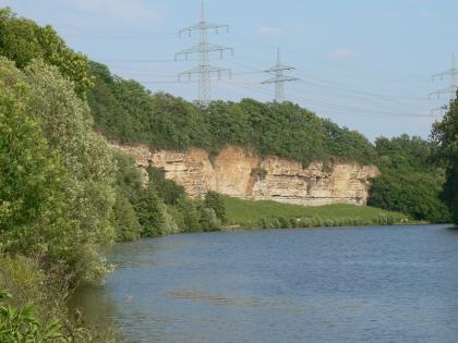 Felsböschung und aufgelassener Steinbruch am Neckarprallhang westlich von Talheim (nördlich von Lauffen a. N.) Gezeigt wird hier eine gelblich braune, lange und hohe Felswand, die sich am Ufer eines Flusses entlangzieht. Kuppe und Basis der Felswand sind stark bewachsen und auch teilweise verdeckt.