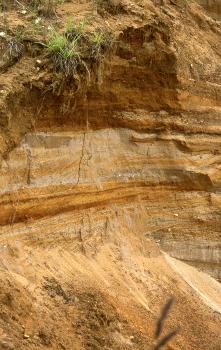 Sandgruben zwischen Buch und Schwabsberg Teilansicht einer Sandgrube. Zu sehen ist eine gelblich bis rötlich braune, streifige Wand mit bewachsenem Überhang. Unten hat sich Rutschmaterial angehäuft.