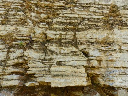 Dünne Travertinplatten im ehemaligen Steinbruch der Firma Haas in Stuttgart Teilansicht einer alten Steinbruchwand mit dünnen Schichten von gelblich grauem Gestein. Die Zwischenräume sind dunkler und mit Pflanzenresten gefüllt.