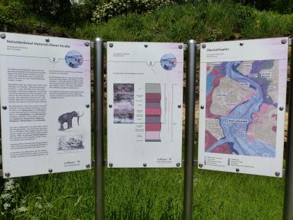 Schautafeln am Travertinaufschluss südöstlich vom Bahnhof Bad Cannstatt in der Heinrich-Ebner-Straße Das Foto zeigt drei nebeneinander aufgestellte farbige Schautafeln mit Informationen zum Naturdenkmal Heinrich-Ebner-Straße in Stuttgart Bad-Cannstatt.