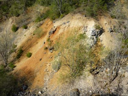 Aufg. Steinbruch Erzbuck an der Straße südlich von Schweindorf Aufblick auf eine steile Halde mit grauen bis rotbraunen Geröllen. Im Vorder- und Hintergrund befinden sich Nadel-und Laubbäume.