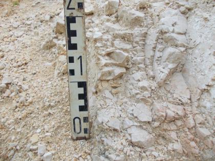 Aufg. Steinbruch/Kiesgrube 500 m östlich von Iggenhausen Der Aufblick auf den Aufschluss zeigt ein weißliches Gestein, das stark zerklüftet ist. Auf der rechten Seite ist Festgestein anstehend, links liegt Lockersediment vor.