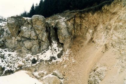 Aufg. Steinbruch am Hollberg ostnordöstlich von Dischingen Blick auf eine leicht beschneite Steinbruchwand. Rechts steht helles, instabiles Material an. Links stehen gerundete Felsnasen heraus. Im Hintergrund liegt ein Wald.