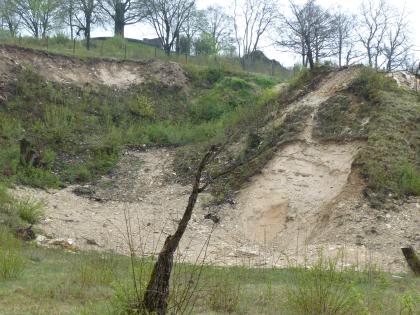 Pharion´sche Grube am Westhang des Zentralhügels südlich von Steinheim am Albuch (Steinheim-Kratersee-Formation) Blick auf eine links teilweise zugewachsene Sandgrube. Rechts ist ein sandiger Hügel ausgebildet. Links oben, außerhalb der abgegrenzten Grube, befindet sich ein grüner, mit Bäumen bewachsener Hügel.