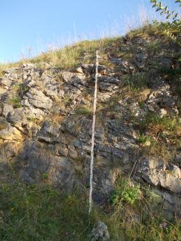 Wegeinschnitt am nördlichen Galgenberg östlich von Steinheim am Albuch (Oberjura-Kalkstein); Foto: Geopark Schwäbische Alb Blick auf einen nach rechts ansteigenden felsigen Hügel. In den Ritzen des teils zertrümmerten Gesteins wächst Gras. In der Mitte ist eine Messlatte angelehnt.