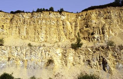 Oberjura-Steinbruch östlich von Heidenheim-Mergelstetten Feinkerbige, zweistufige Steinbruchwand mit gelben und weißlichen Farbtönen.