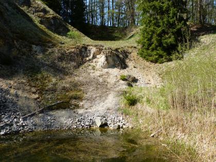 Sandgrube westlich der Guldesmühle südlich von Dischingen Das Bild zeigt eine Mulde, in der helles Gestein ansteht. Im Hintergrund befindet sich ein lichter Laubwald. Im Vordergrund liegt ein Teich.