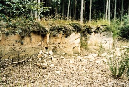 Aufgelassener Steinbruch auf dem Bromberg südlich von Altdorf Das Bild zeigt niedrige gelblich braune Gesteinswände, die stark von Moos und anderen Pflanzen überwachsen sind. Im nahen Hintergrund steht ein Wald, im Vordergrund liegen Schutt und Pflanzenreste.