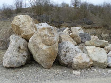 Blöcke aus der Blocklage in der Kiesgrube östlich von Zwiefaltendorf Das Foto zeigt mehrere unterschiedlich große Gesteinsblöcke, bräunlich bis grau, die über- und nebeneinander liegen. Im Hintergrund sind niedrige, bewachsene Abbauwände einer Kiesgrube.